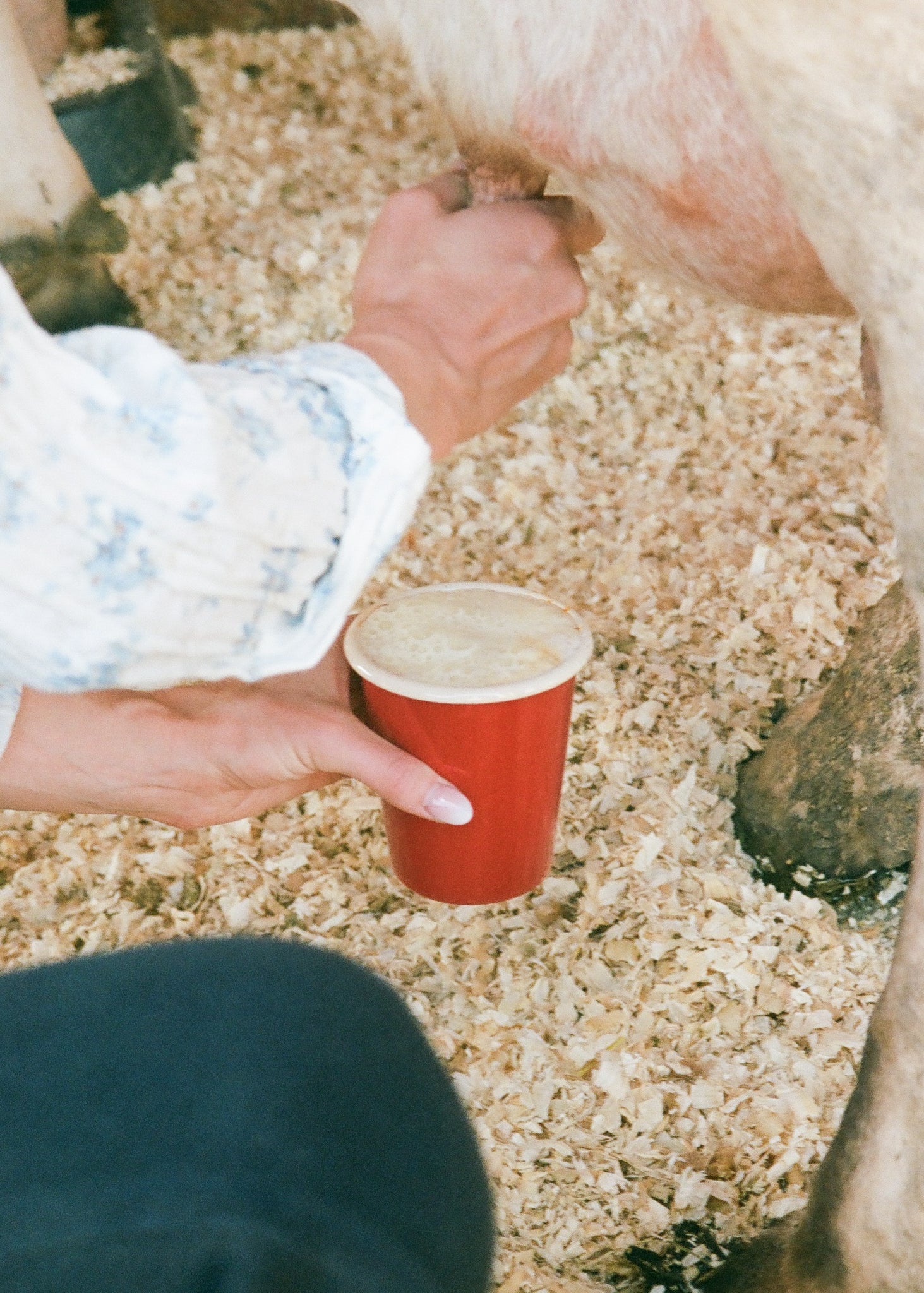 Enamel Cup - Image 6