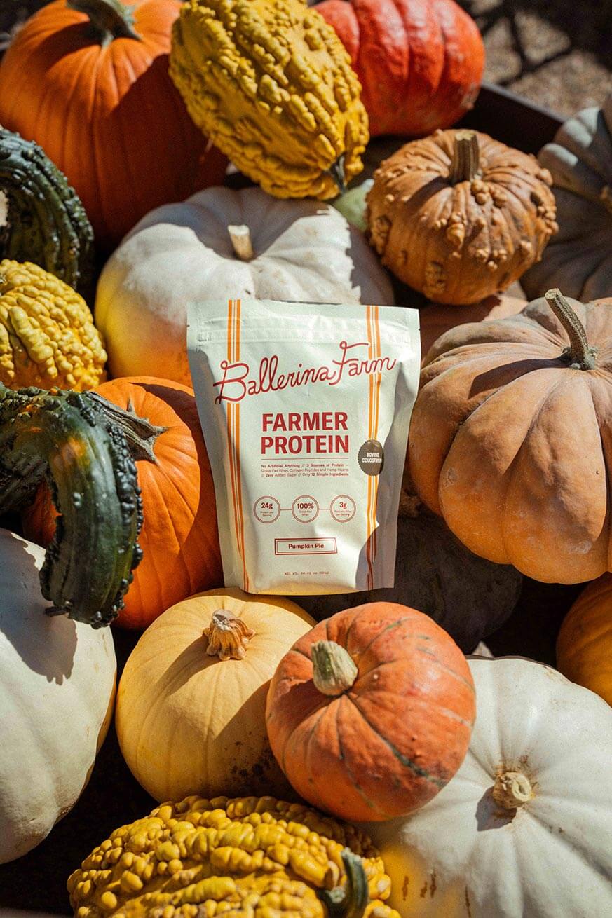 Pumpkin Pie Farmer Protein - Image 9